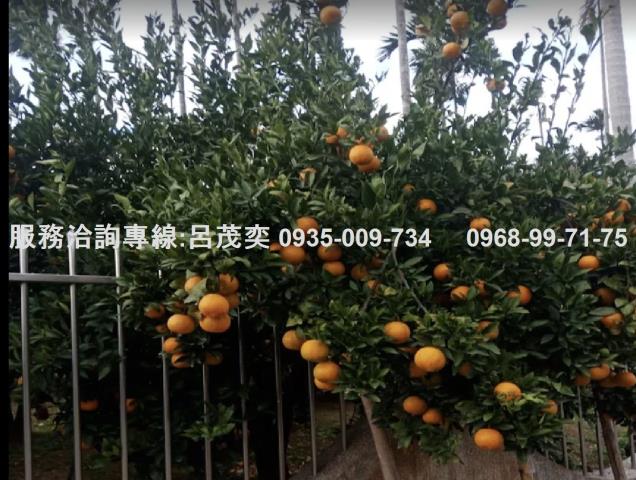 關西公寓-6