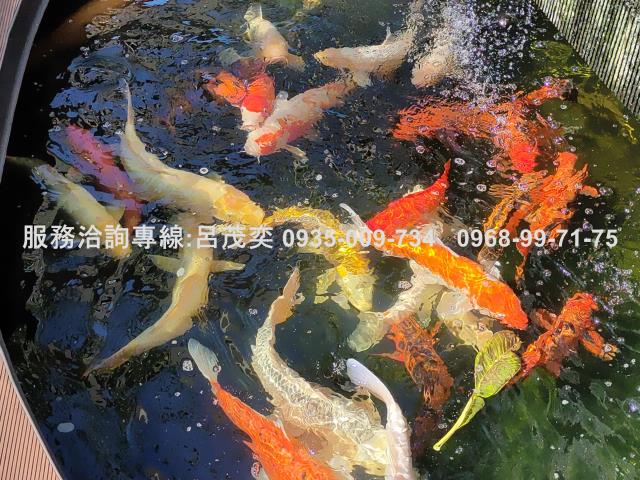 台北信義區大樓-1