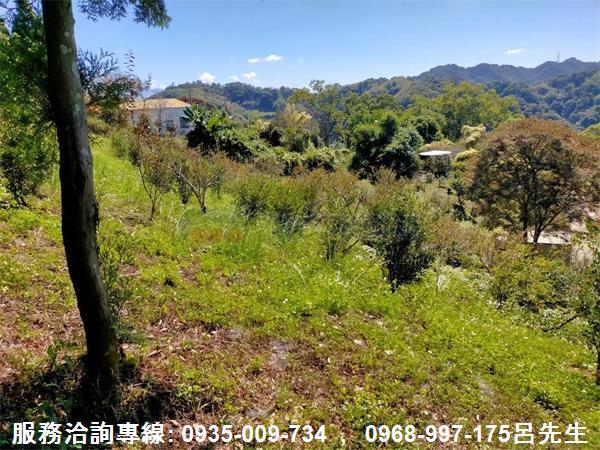 苗栗銅鑼農地-2