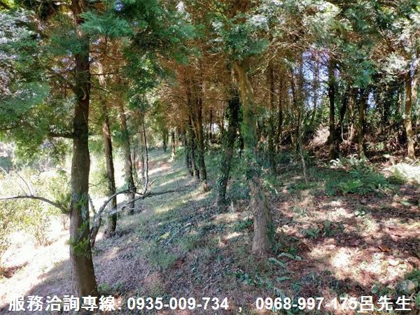 苗栗銅鑼農地-8