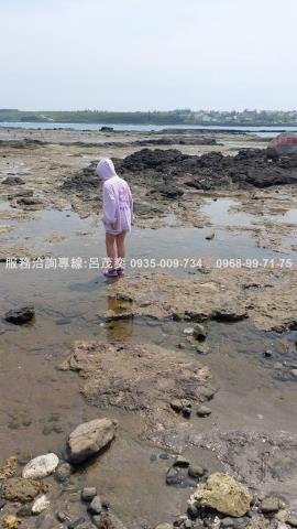 澎湖白沙農地-9