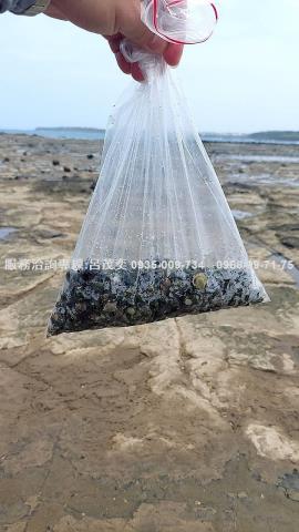 澎湖白沙農地-11