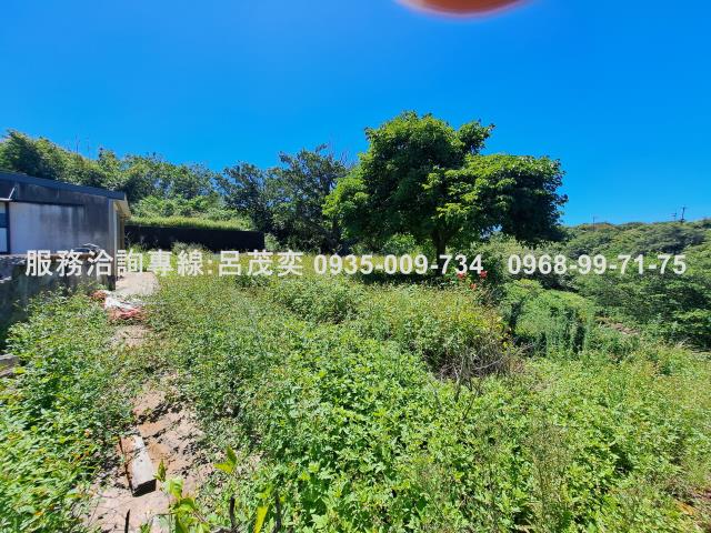 新北石門農地-5