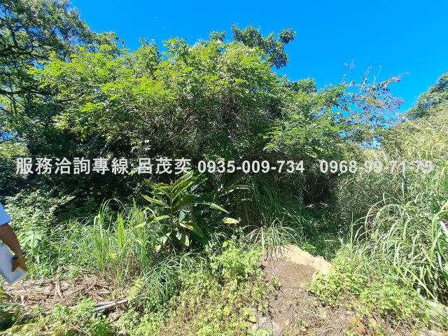 新北石門農地-7
