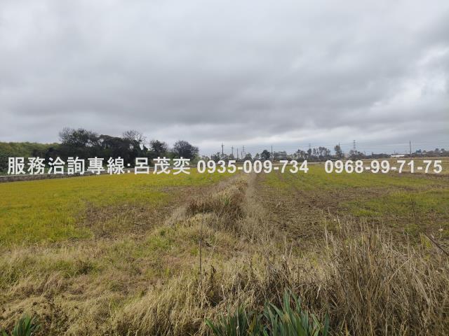 觀音農地-10