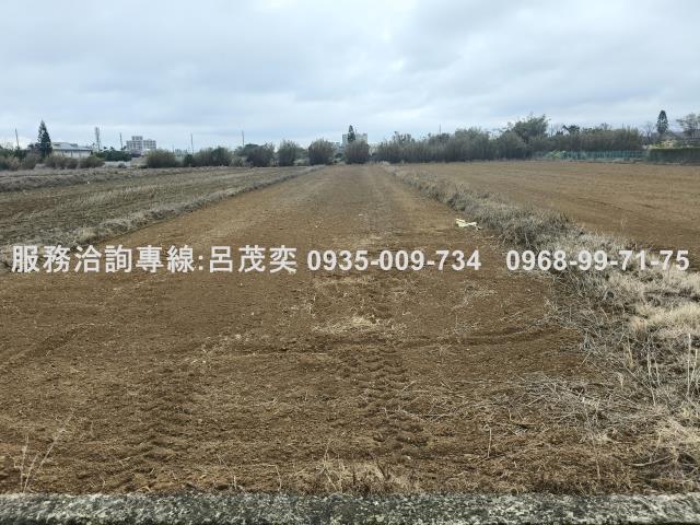新屋農地-4