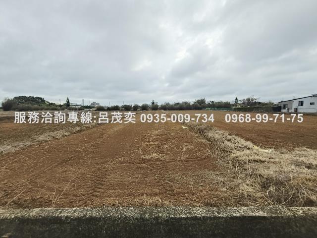 新屋農地-5